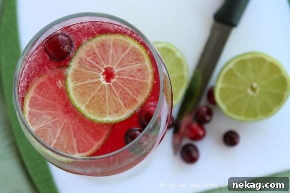 Close-up of a festive Cranberry Lime Spritzer with fresh garnishes.