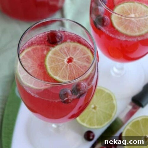 Delicious Cranberry Lime Spritzer ready to serve.