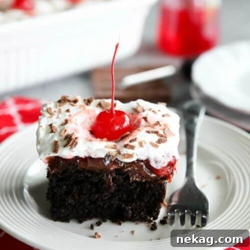 Black Forest Poke Cake: A classic chocolate and cherry dessert, easy to make and perfect for any gathering.