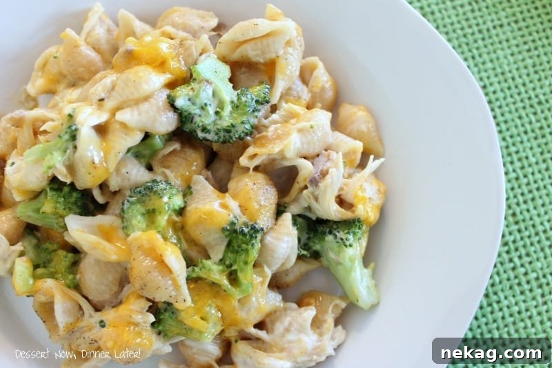 A vibrant overhead shot of cooked pasta shells, broccoli florets, and shredded chicken tossed together before baking.