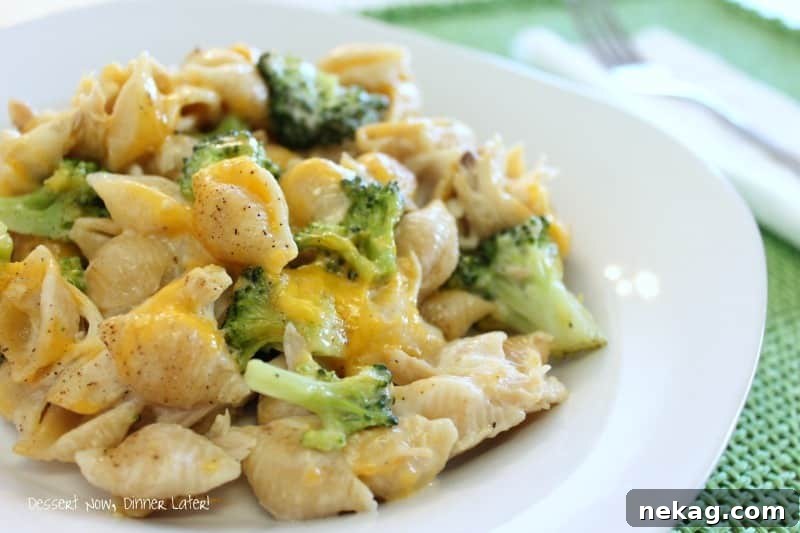 A serving of Chicken & Broccoli Alfredo Shells with a fork, showcasing the creamy texture and melted cheese.