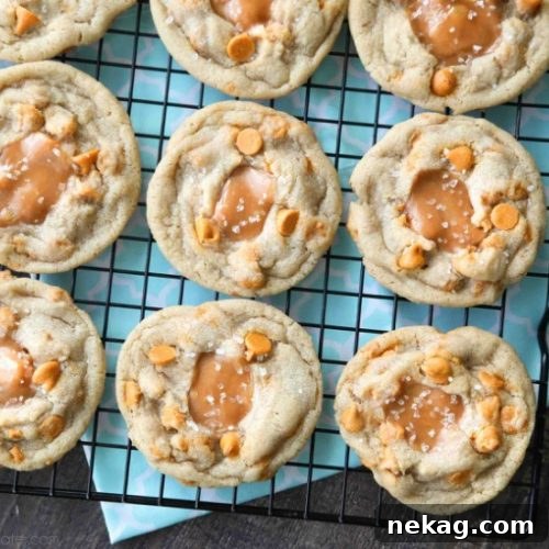 Salted Caramel Cookie Delights 2 Salted Caramel Cookies are soft, chewy, and full of caramel, with just the right amount of salt. This sweet and salty dessert is one recipe you'll make again and again!