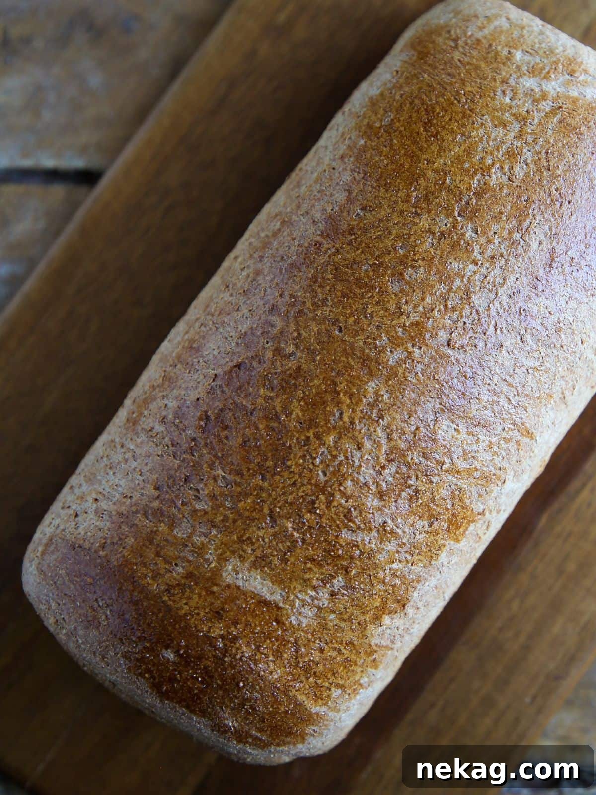 Whole Wheat Breadmaking 5 An unsliced loaf of whole wheat sandwich bread with a perfectly golden crust.