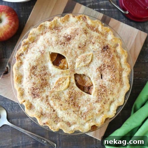 This homemade apple pie recipe has a flaky pie crust with cinnamon-sugar sprinkled on top and an extra fruity apple pie filling with just the right amount of sauce.