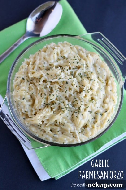 Creamy Garlic Parmesan Orzo 2 Creamy Garlic Parmesan Orzo Side Dish