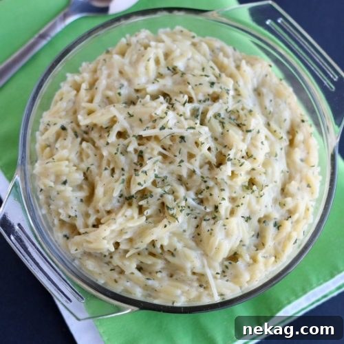 Garlic Parmesan Orzo