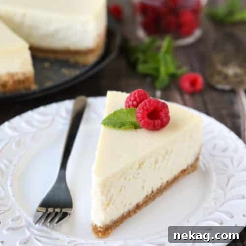 The Ultimate Classic Cheesecake 2 This Classic Cheesecake recipe is smooth, creamy, moist, and full of vanilla, with a graham cracker crust. Plus all the tips and tricks for the perfect cheesecake with no cracks! A great dessert for the holidays or any occasion.
