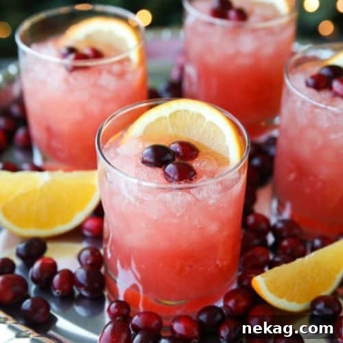 A festive Cranberry Orange Mocktail, garnished with fresh cranberries and an orange slice, perfect for the holidays.