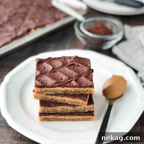 Decadent Peanut Butter Bars 2 Peanut Butter Bars with Oatmeal and Chocolate Frosting