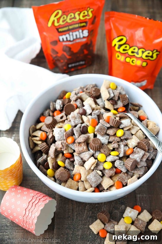 Reese's Muddy Buddies are a vibrant snack mix, perfect for parties, featuring chocolate and peanut butter coated cereal, Reese's Pieces, and Reese's Minis.