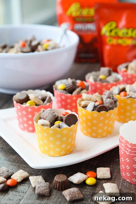 Close-up of Reese's Muddy Buddies, showcasing the powdered sugar, cereal squares, Reese's Pieces, and Reese's Minis.