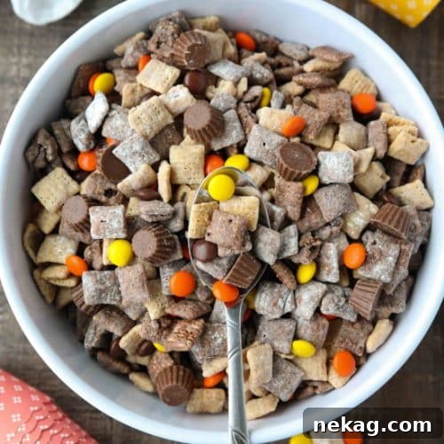 Reese's Muddy Buddies: The ultimate chocolate and peanut butter puppy chow snack mix.