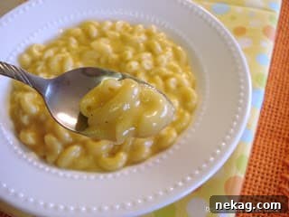 Dreamy Slow Cooker Macaroni and Cheese 4 A serving of creamy macaroni and cheese in a bowl, garnished with fresh parsley.
