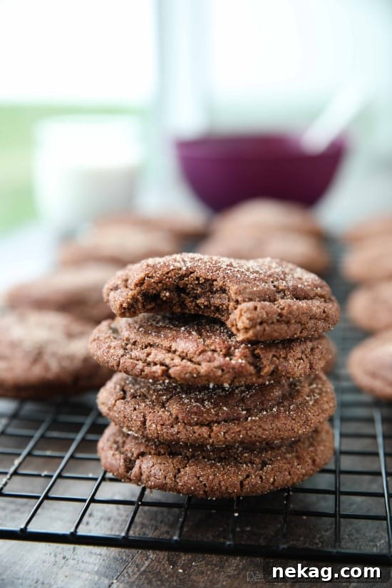 Chocolate Snickerdoodles Bake With Me 3 Chocolate Snickerdoodles - soft and chewy chocolate cookies are coated in cinnamon-sugar and baked to perfection.