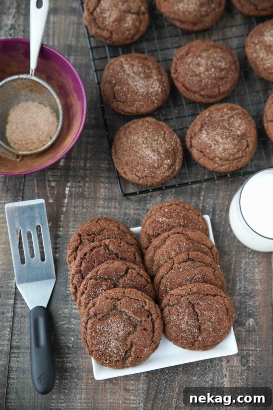 Chocolate Snickerdoodles Bake With Me 4 Chocolate Snickerdoodles - soft and chewy chocolate cookies are coated in cinnamon-sugar and baked to perfection.