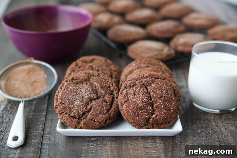 Chocolate Snickerdoodles Bake With Me 5 Chocolate Snickerdoodles - soft and chewy chocolate cookies are coated in cinnamon-sugar and baked to perfection.
