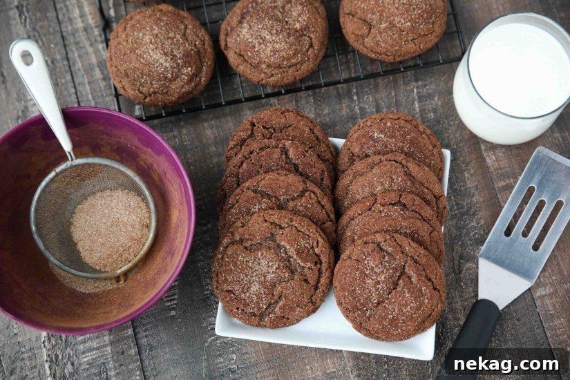 Chocolate Snickerdoodles Bake With Me 6 Chocolate Snickerdoodles - soft and chewy chocolate cookies are coated in cinnamon-sugar and baked to perfection.
