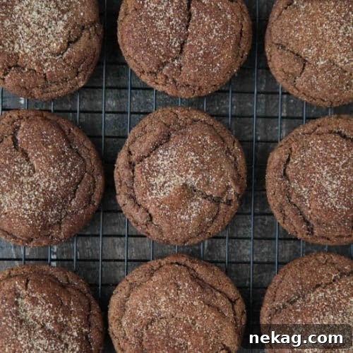Chocolate Snickerdoodles - soft and chewy chocolate cookies are coated in cinnamon-sugar and baked to perfection.