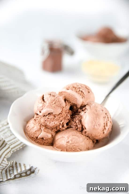 Malted Chocolate Dream 3 Close-up of creamy chocolate malt ice cream, showcasing its smooth texture and rich color.