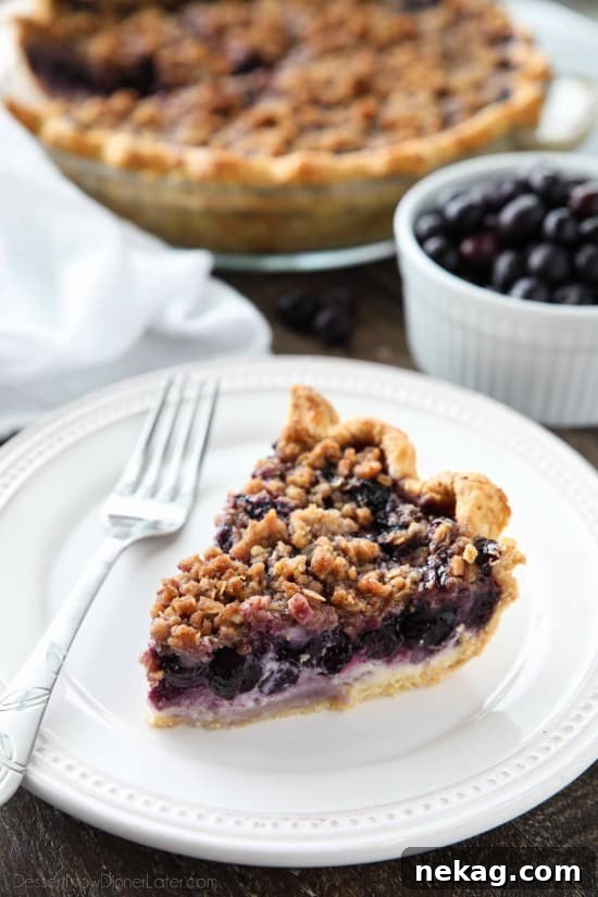 Velvet Blueberry Streusel Delight 2 A stunning slice of Blueberry Cream Pie with visible layers of fruit, cheesecake, and streusel topping, sitting on a plate ready to be enjoyed.