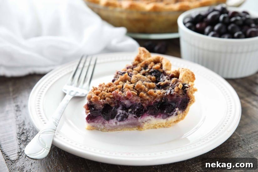 Velvet Blueberry Streusel Delight 4 A close-up view of the streusel topping on the Blueberry Cream Pie, showing its delightful texture and golden hue.