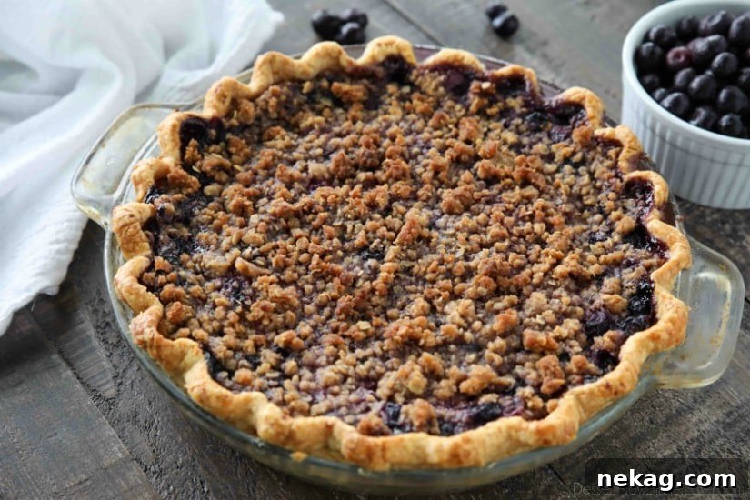 Velvet Blueberry Streusel Delight 5 An overhead shot of the whole Blueberry Cream Pie, showcasing its beautiful streusel topping and perfectly baked crust.
