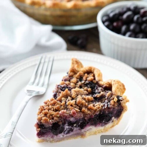 A beautifully photographed Blueberry Cream Pie with a golden streusel topping, ready to be served.