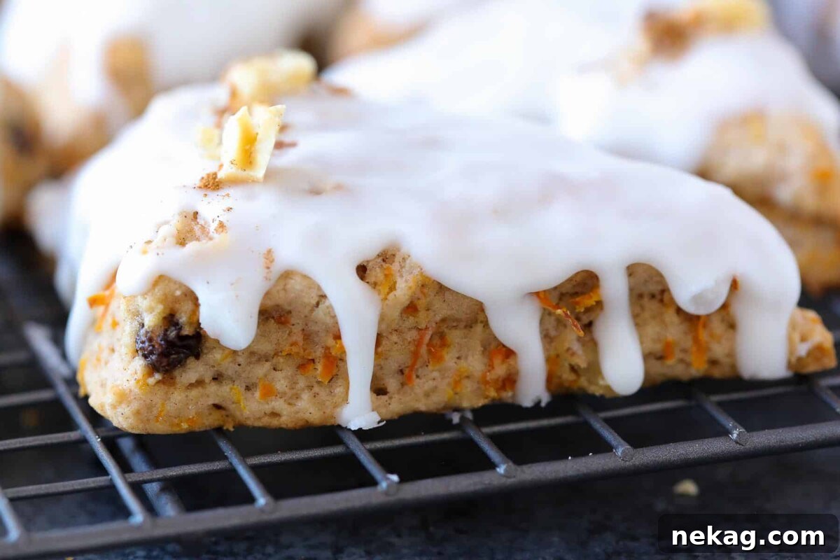 Spiced Carrot Cake Scones 3 Cream cheese glaze dripping enticingly down the side of a fresh carrot cake scone.