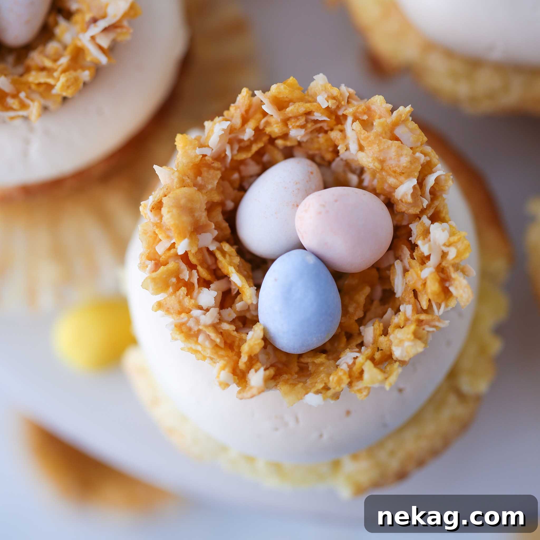 Coconut White Chocolate Nests Three Eggs
