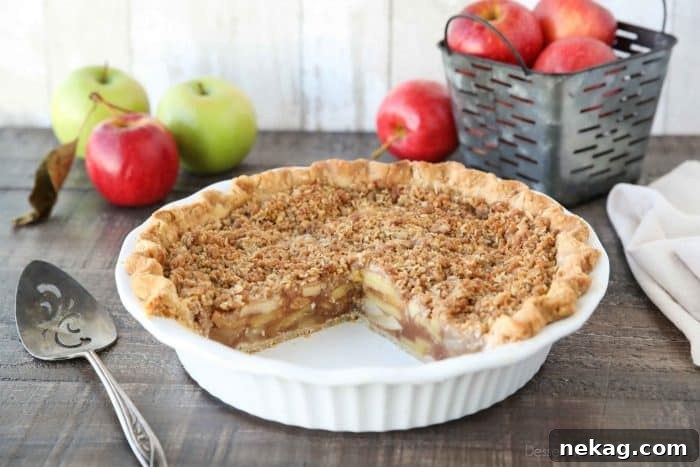 Golden Apple Crumb Delight 6 Delicious Dutch Apple Pie with a rich apple filling and a sweet, buttery crumb streusel topping, a perfect blend of pie and crisp.
