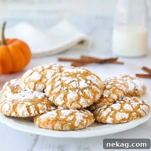Cozy Pumpkin Crinkle Cookies 7 Freshly baked Pumpkin Crinkle Cookies, beautifully cracked and coated in powdered sugar, ready to be enjoyed.