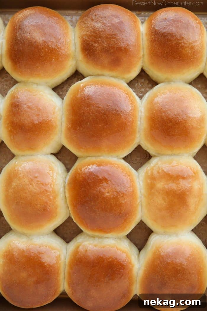 This classic homemade dinner rolls recipe is soft, fluffy, light, and buttery. The perfect bread for any meal or holiday feast.