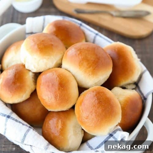 Classic homemade dinner rolls recipe. So soft, fluffy, light, buttery, and impossible to resist!