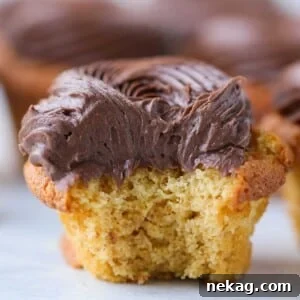 Velvet Chocolate Caramel Wonders 6 Chocolate Caramel Cupcakes