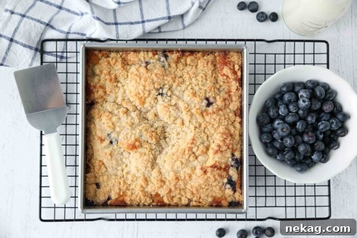 A freshly baked Blueberry Coffee Cake still warm in its square baking dish, invitingly golden and ready to cool.