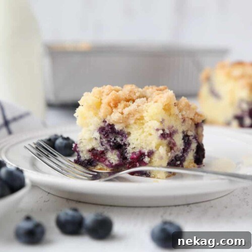 Blueberry Coffee Cake on a plate, perfectly baked and ready to serve.