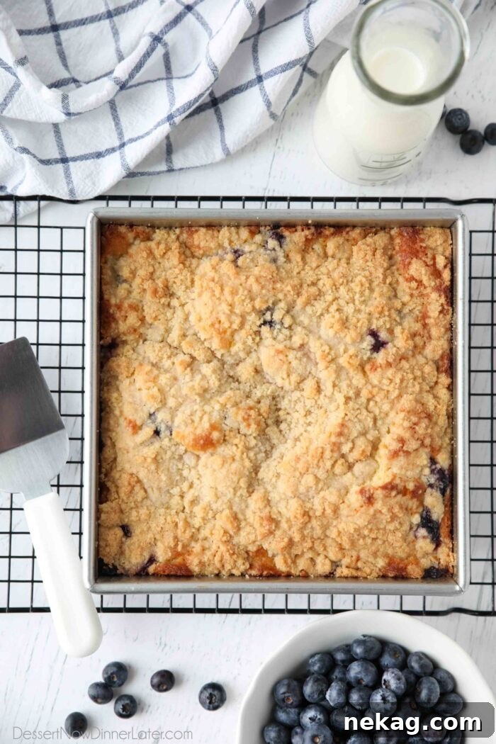 A freshly baked Blueberry Crumb Cake presented in a square baking pan, showcasing its golden streusel topping and inviting blueberries.