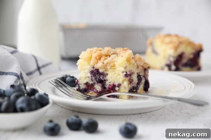 A delectable slice of Blueberry Coffee Cake resting on a plate, showcasing its golden crumb and juicy blueberries.