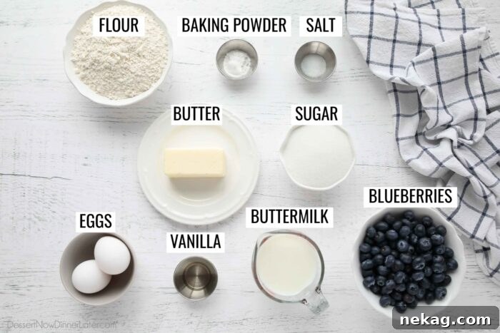 All the essential ingredients for a delicious blueberry crumble cake laid out and labeled, ready for baking.
