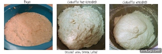 Wet and sticky Ciabatta dough in a mixing bowl before rising, highlighting its high hydration