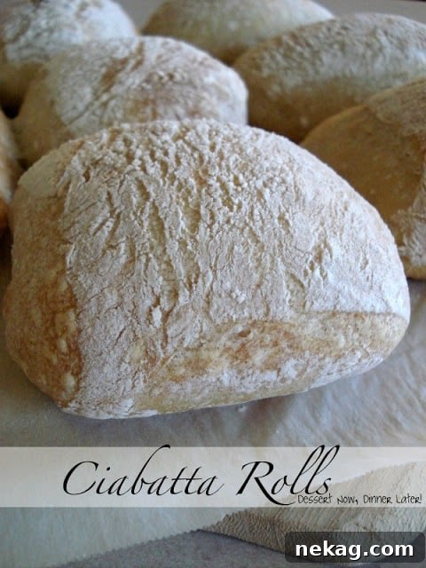 Ciabatta rolls arranged for serving