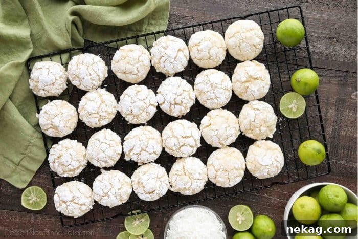 Tropical Coconut Key Lime Crinkle Cookies 5 Coconut Key Lime Crinkle Cookies are puffy, soft, and chewy with a hint of tangy lime and sweet coconut. An easy spring or summer dessert with a tropical flair.
