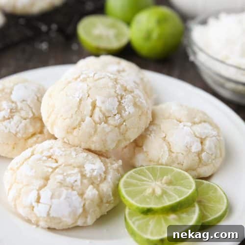 Tropical Coconut Key Lime Crinkle Cookies 7 Coconut Key Lime Crinkle Cookies are a bite-sized tropical treat.