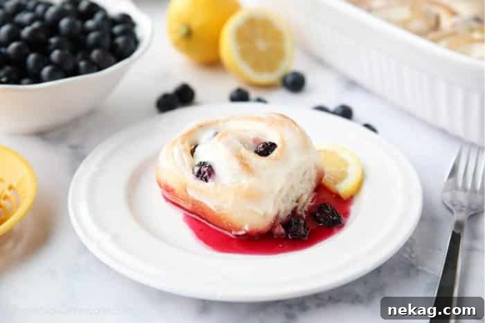 Zesty Lemon Blueberry Buns 6 A single Lemon Blueberry Sweet Roll on a plate, showcasing the gooey blueberry sauce and a fresh lemon slice for garnish.