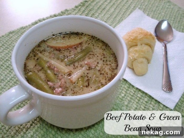 Rustic Beef and Vegetable Soup 2 Hearty Beef Potato and Green Bean Soup