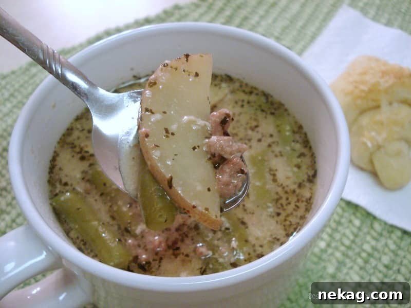 Rustic Beef and Vegetable Soup 3 Hearty Beef Potato and Green Bean Soup for a cold day