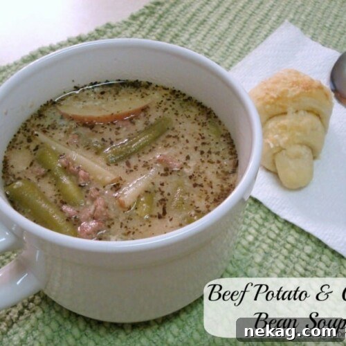 Beef Potato and Green Bean Soup