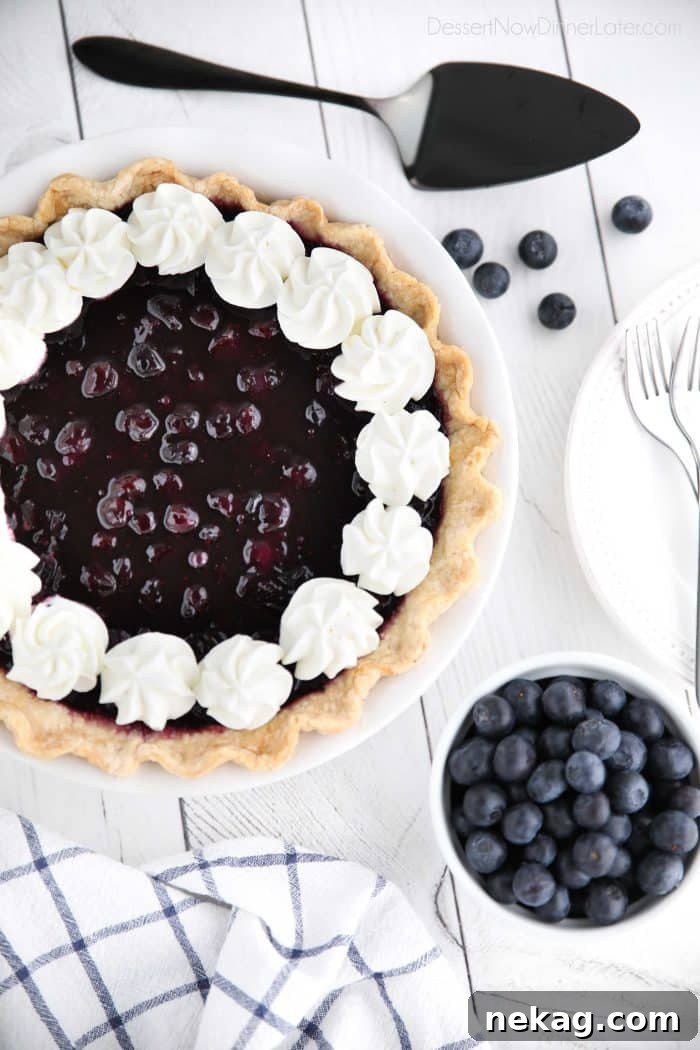 How to Make Perfect Blueberry Cream Cheese Pie 3 A whole Blueberry Cream Cheese Pie, beautifully garnished with fresh whipped cream and a sprinkle of blueberries, showcasing its appealing layers.