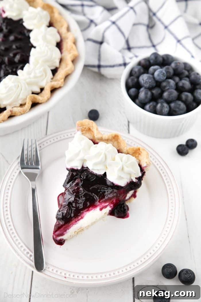 How to Make Perfect Blueberry Cream Cheese Pie 4 A close-up of a single slice of Blueberry Cream Cheese Pie, perfectly portioned and ready to be enjoyed, highlighting the creamy filling and juicy blueberry topping.
