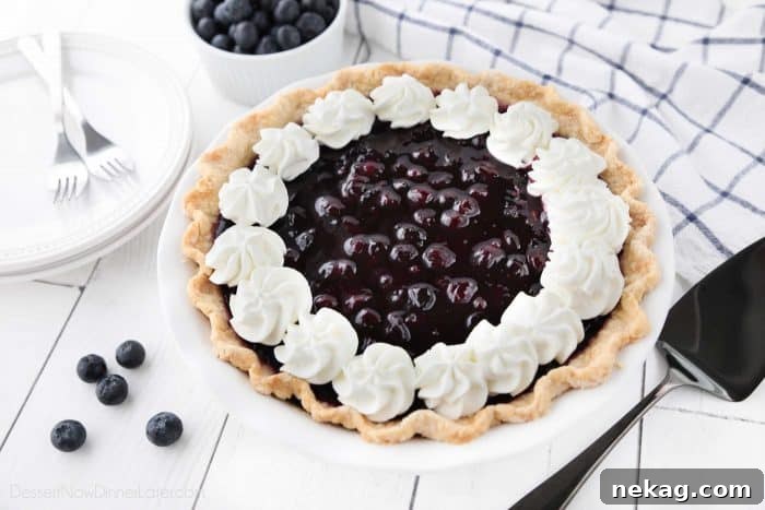 How to Make Perfect Blueberry Cream Cheese Pie 5 A full Blueberry Cream Cheese Pie, artfully decorated with fresh whipped cream and a scattering of fresh blueberries, making for an inviting presentation.